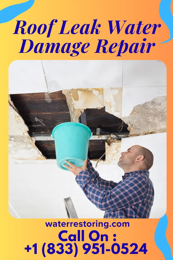 Roof Leak Water Damage Repair in Spring Valley, AZ